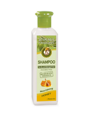 Shampoo Honey Dry & Damaged 250ml