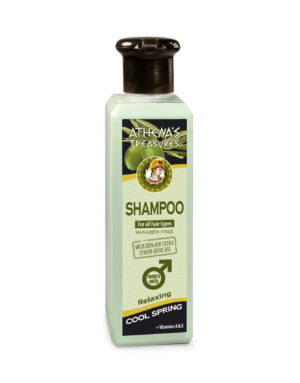 Shampoo Cool Spring Men's 250ml